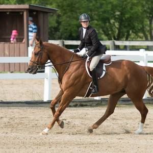 Meet your Posher, Sandy